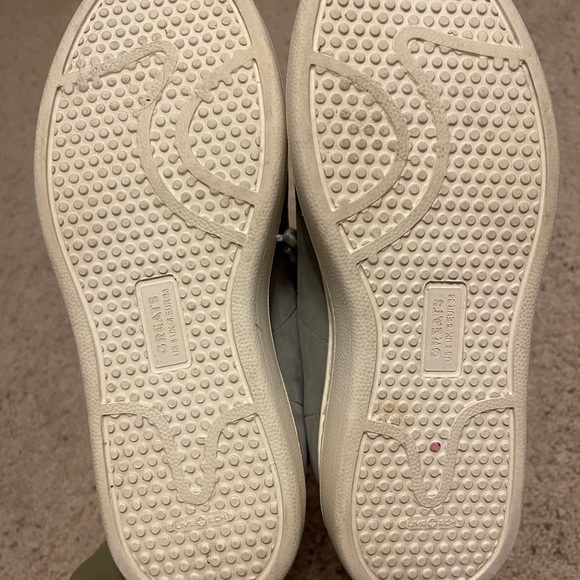 Gray Greats - Picture 5 of 5